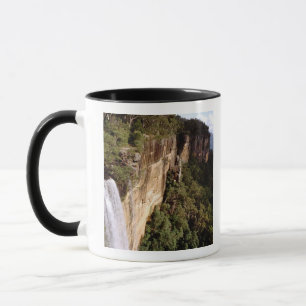 Australien, New South Wales, Fitzroy Falls. Tasse