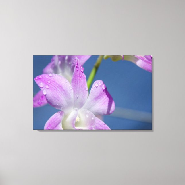 Australien, Nordterritorium, Darwin Leinwanddruck (Vorderseite)