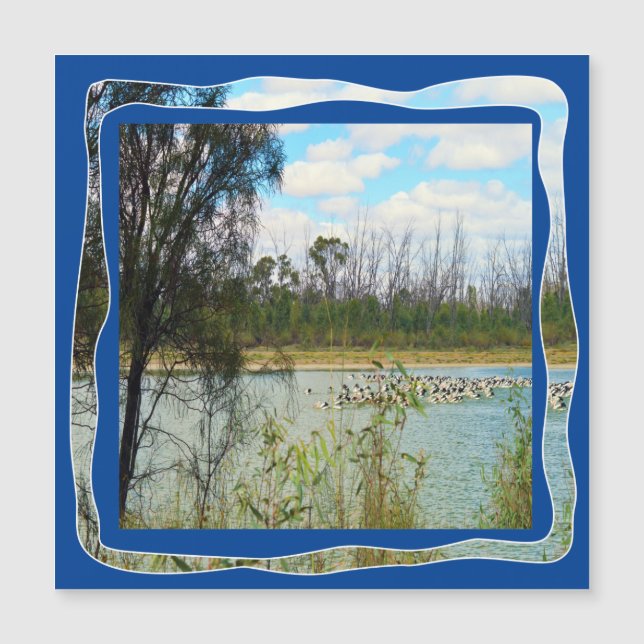 Australien Pelican Flock River Murray Magnetkarte (Vorderseite)