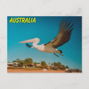 Australien Postkarte