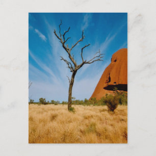 Australien Postkarte