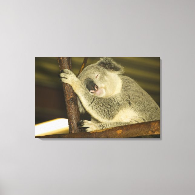 Australien, Queensland, Brisbane. Abb. Tree Leinwanddruck (Vorderseite)