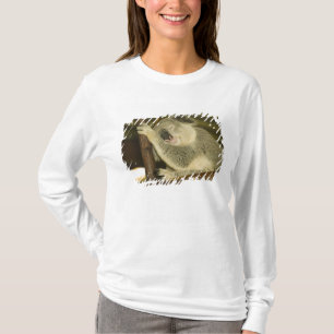 Australien, Queensland, Brisbane. Feigenbaum T-Shirt