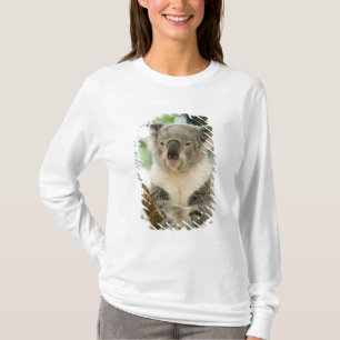 Australien, Queensland, Brisbane, Feigenbaum T-Shirt