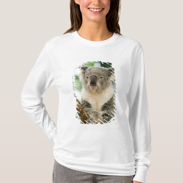 Australien, Queensland, Brisbane, Fig Tree T-Shirt (Vorderseite)