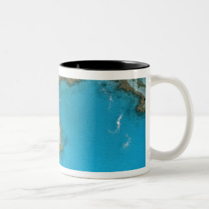 Australien, Queensland, Die Whitsunday-Inseln, Zweifarbige Tasse