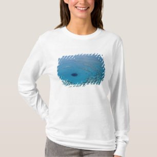 Australien, Queensland. Great Barrier Reef T-Shirt