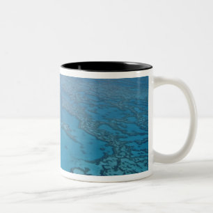 Australien, Queensland. Great Barrier Reef Zweifarbige Tasse