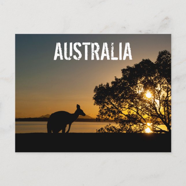 Australien Queensland Mountains Kangaroo Sunset Postkarte (Vorderseite)
