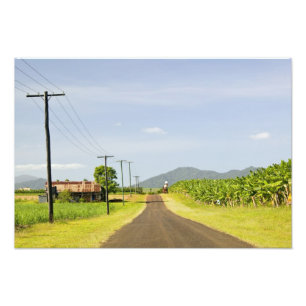 Australien, Queensland, Nordküste, Babinda. Fotodruck