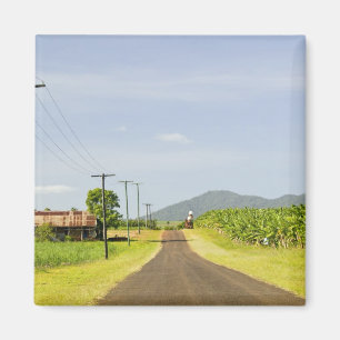 Australien, Queensland, Nordküste, Babinda. Magnet