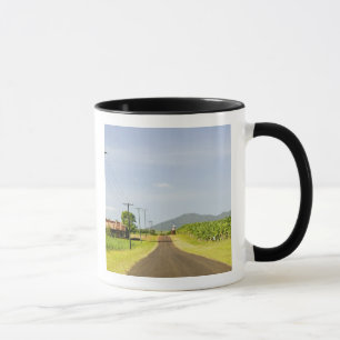 Australien, Queensland, Nordküste, Babinda. Tasse
