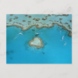 Australien, Queensland, The Whitsunday Islands, Postkarte