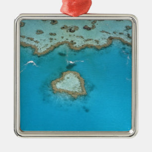 Australien, Queensland, The Whitsunday Islands, Silbernes Ornament
