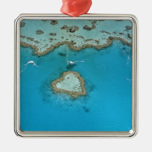 Australien, Queensland, The Whitsunday Islands, Silbernes Ornament (Vorne)