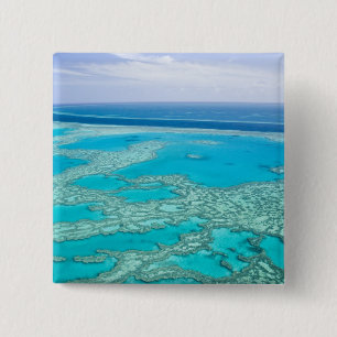 Australien, Queensland, Whitsunday Coast, Great 3 Button