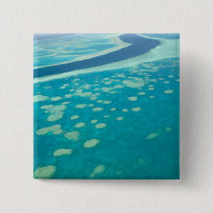 Australien, Queensland, Whitsunday Coast, Great 4 Button