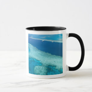 Australien, Queensland, Whitsunday-Küste, Great 5 Tasse