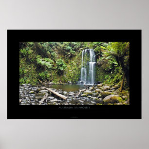 AUSTRALIEN RAINFOREST POSTER