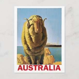 Australien, Schafe an der Küste Postkarte