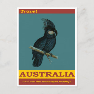 Australien Schwarzer Kakadu Vogel Vintage Reise Postkarte