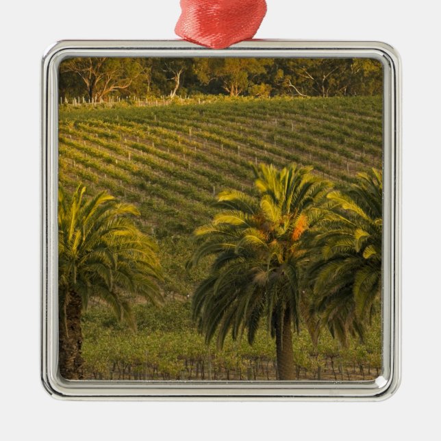 Australien, Südaustralien, Barossa-Tal, Silbernes Ornament (Vorne)