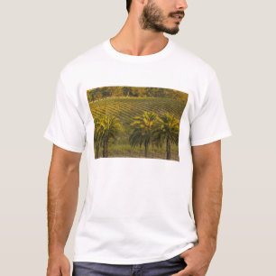 Australien, Südaustralien, Barossa-Tal, T-Shirt