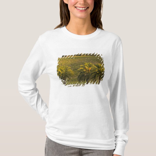 Australien, Südaustralien, Barossa-Tal, T-Shirt (Vorderseite)