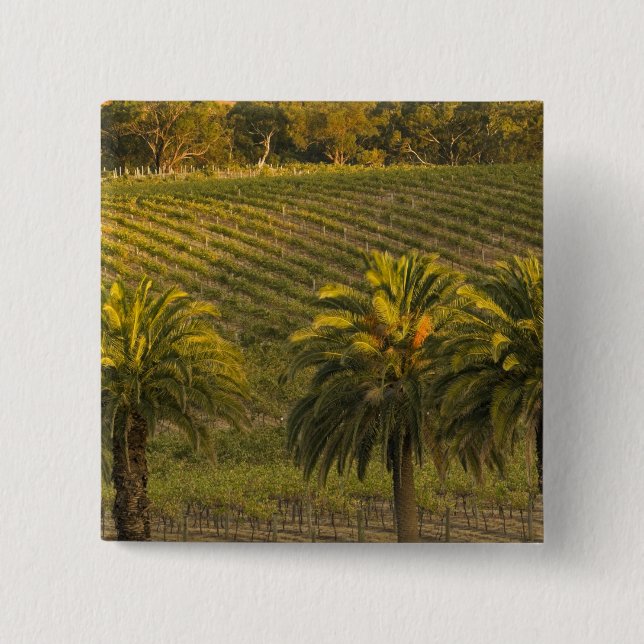 Australien, Südaustralien, Barossa Valley, Button (Vorderseite)