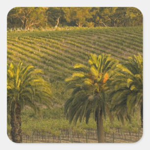 Australien, Südaustralien, Barossa Valley, Quadratischer Aufkleber