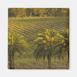Australien, Südaustralien, Barossatal, Magnet