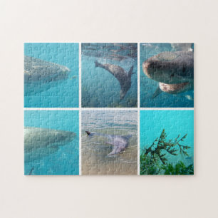 Australien Tiere Unterwasser Foto Collage Kinder Puzzle