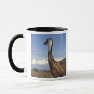 Australien, Westaustralien. Emu (Dromaius Tasse