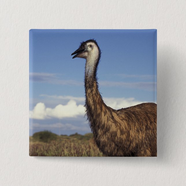 Australien, Western Australien. Emu (Dromaius Button (Vorderseite)