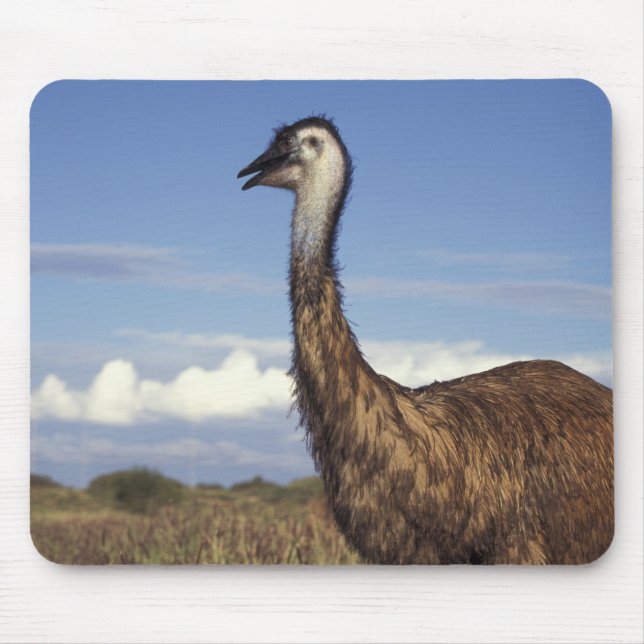 Australien, Western Australien. Emu (Dromaius Mousepad (Vorne)