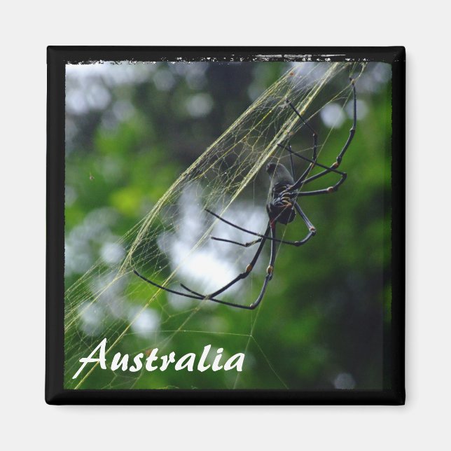 Australien, Wildnis, Spider (Magnet) Magnet (Vorne)