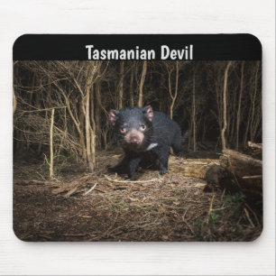 Australiens Tasmanischer Teufel Mousepad