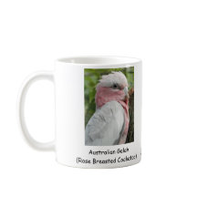 Australier Galah (Rose Breasted Cockatoo)