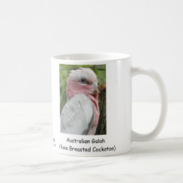 Australier Galah (Rose Breasted Cockatoo) Tasse