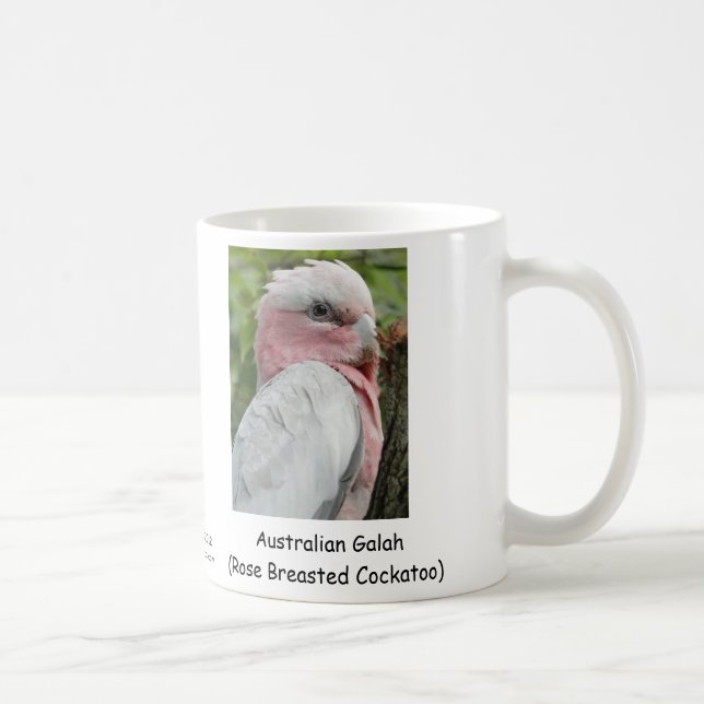 Australier Galah (Rose Breasted Cockatoo) Tasse (Rechts)