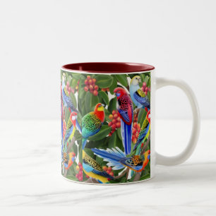 Australier Rosella plappert Tasse nach