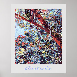 Australische Banksia-Pflanze Poster