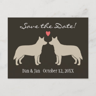 Australische Cattle Dogs Hochzeit Termin vormerken Ankündigungspostkarte