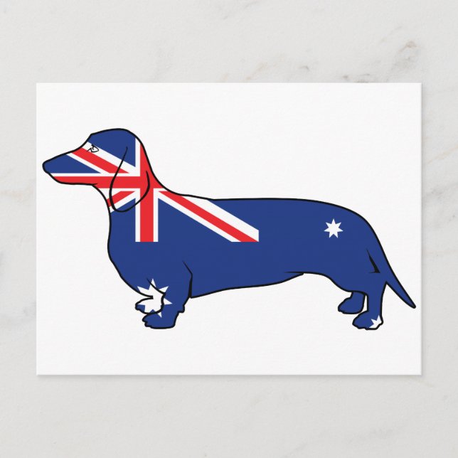 Australische Dackel Postkarte (Vorderseite)