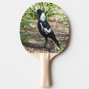 Australische Elster-Klingeln Pong Paddel Tischtennis Schläger