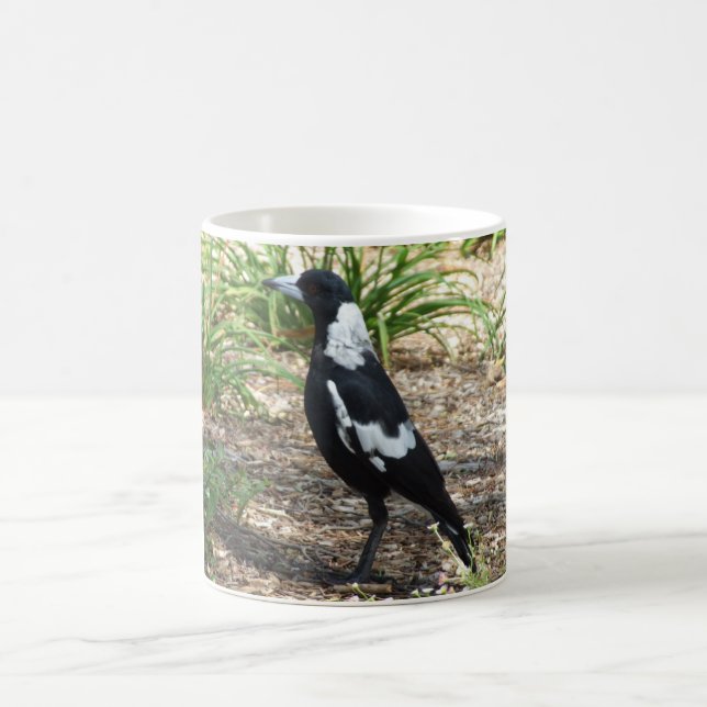 Australische Elster-Tasse Tasse (Mittel)