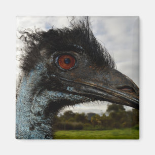 Australische Emu Nah Up, Kühlschrankmagnet Magnet