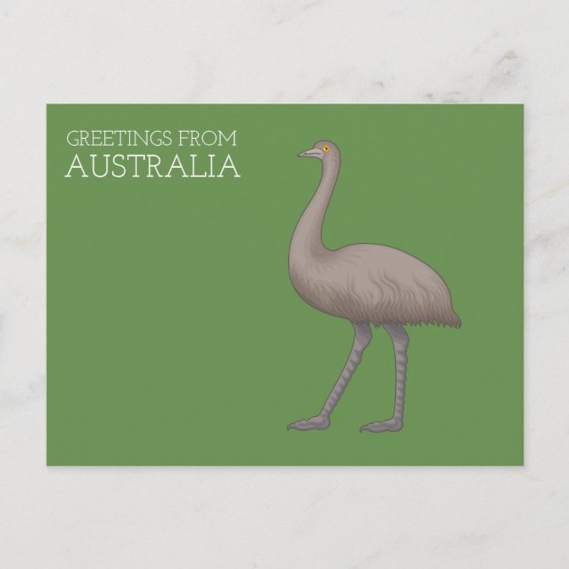 Australische Emu Postkarten (Vorderseite)