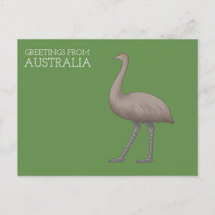 Australische Emu-Postkarten Postkarte