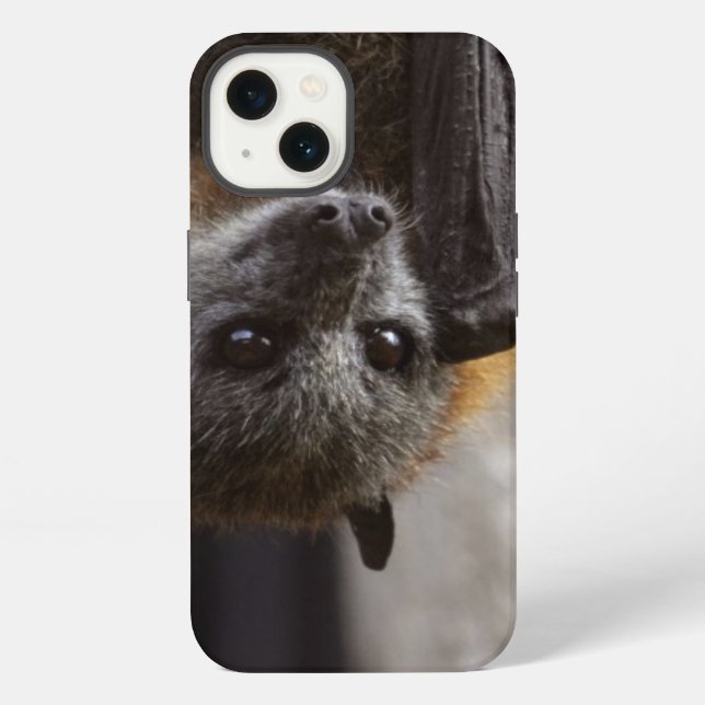 Australische Fledermaus iPhone Hülle (Rückseite)